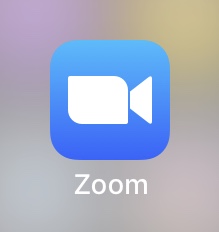 ZOOM Conference Call